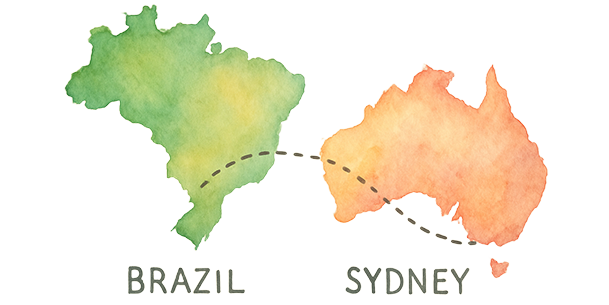 braziltosyd